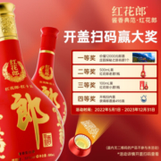 郎酒【官方授权】红花郎10（十）第四代陈酿53度酱香型白酒 500ml*2瓶