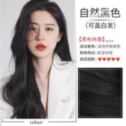HANJINLIANG 韩金靓 易梳彩染发剂 自然黑180ml