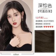 HANJINLIANG 韩金靓 易梳彩染发剂 深棕色180ml