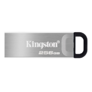 京东百亿补贴：Kingston 金士顿 DataTraveler系列 DTKN USB 3.2 U盘 银色 256GB USB-A