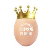 天珍牧场 谷粮蛋 30枚 1.59kg 礼盒装