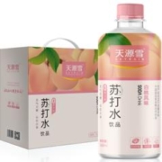 天源雪 无糖苏打水饮料 368ml*20瓶/箱
