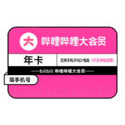 bilibili 哔哩哔哩 大会员12个月 年卡