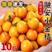 京东百亿补贴：壹萌果蔬 广西融安脆皮小金桔 中果装丨约45个/斤 净重5斤装