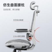 SIHOO 西昊 M59 全网款人体工学椅 网座+3D扶手+头枕