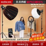 Godox 神牛 SL-60D/Bi II二代太阳灯led摄影灯直播补光灯常亮柔光灯