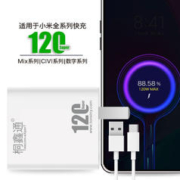 Telecom-eXperT 桐鑫通 适用小米充电器 30W 全适用小米快充1米套装