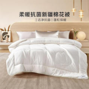BLISS 百丽丝 新疆棉花春秋被 220*240cm