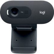 罗技（Logitech） C505e高清电脑网络摄像头 视频会议网络课程 远程教育摄像头 C505e即插即用入门摄像头(商用)