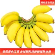 京东百亿补贴:梦芷 小米蕉5斤(净重4.5,2件合发9斤)