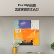 欧司朗（OSRAM）吸顶灯客厅灯遥控调光调色LED顶灯具135瓦客厅灯SX025影分身