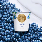 HOKKAI PASTURES 北海牧场 小果泥桑葚 三联100g*3杯