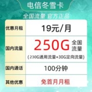 中国电信 冬雪卡 19元月租（250G全国流量＋100分钟通话）首月免月租