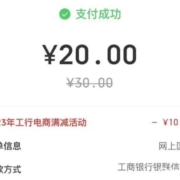 网上国网X工商银行 缴费充值30元立减10元