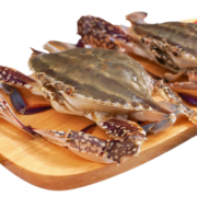鱻谣 当季梭子蟹1300g/7-8只整蟹 150-200g/只 冷冻东海螃蟹 生鲜蟹类海鲜水产