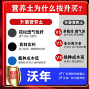 沃年 通用型营养土 有机营养土2升