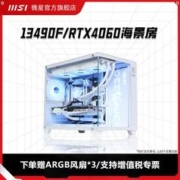 MSI 微星 海景房i5 13490F搭RTX4060台式机电竞游戏主机diy组装机