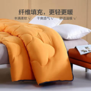 BLISS 百丽丝 吸湿发热冬被 橙色 200cm×230cm 5.7斤