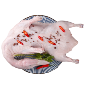 京东百亿补贴：岽鲜 新鲜鸭肉生鲜白条鸭冷冻整只 煲汤食材鸭子肉 鸭子 1000g*2只