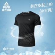 PEAK 匹克 运动短袖t恤男果冻T冰巢科技夏季休闲针织半袖透气FR6232511