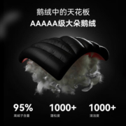 伯希和【天狼星】冲锋衣户外秋冬1000蓬鹅绒Dermizax专业防水登山羽绒服 橙红色 S