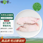 楮木香 土猪猪蹄 4只 4斤左右