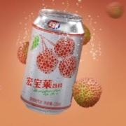 88VIP会员：宏宝莱 荔枝味汽水330mlx6罐