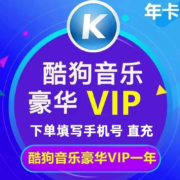 酷狗音乐 豪华VIP会员 12个月年卡 赠音乐包