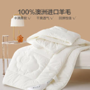 28日0点：BLISS 百丽丝 100%澳洲抗菌羊毛冬被 200*230cm