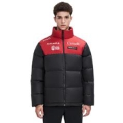 DESCENTE 迪桑特 男士立领羽绒服 D1491SDJC2