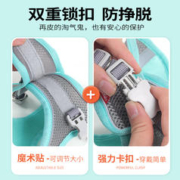 KimPets 狗狗牵引绳背心式小型犬比熊胸背带泰迪小狗幼犬遛狗绳狗链子用品
