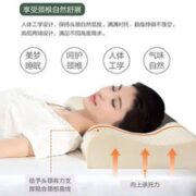 FUANNA 富安娜 泰国进口乳胶成人枕 60*40cm 均色