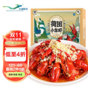 大希地 蛋挞组合1.6kg 挞皮30个+挞液500ml*2 烘焙蛋挞半成品 带锡