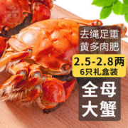 乾澄 大闸蟹现货 全母2.5-2.8两6只装 去绳足重鲜活螃蟹海鲜礼盒装