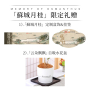花点时间绿植室内四季桂花树盆栽植物教师节中秋礼品乔迁礼花卉盆栽 【中秋-盆贴款】3年四季桂+香挂