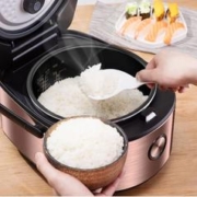 Midea 美的 Easy501系列 微压电饭煲