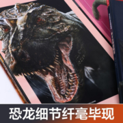 【官方正版】乐乐趣PNSO恐龙博物馆【套装4册】霸王龙威尔逊的秘密+剑龙比伯+三角龙多利+棘龙埃辛的秘密 6岁+儿童科普百科揭秘恐龙书 全4册【霸王龙+剑龙+三角龙+棘龙】