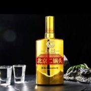 YONGFENG 永丰牌 45.8%Vol. 清香型 大师金500ml 两瓶