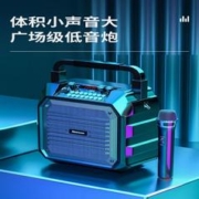 Newsmy 纽曼 广场舞音响户外音箱k歌手提便携式无线蓝牙带话筒插麦音箱