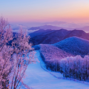聚划算百亿补贴：万科-松花湖 2天1晚滑雪+酒店 3店任选2大1小亲子滑雪度假套餐
