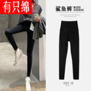 有只绵 2023新款鲨鱼裤可外穿保暖裤女高腰瑜伽健身显瘦美臀美腿打底裤 鲨鱼裤 四季款 L (适合105