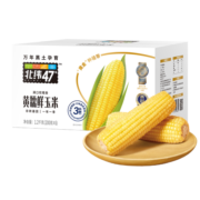 北纬47°（BEIWEI） 黄糯鲜玉米200g*6穗  低脂玉米棒糯玉米 东北玉米粘玉米