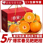 京东百亿补贴：三萌果蔬四川春见耙耙柑  5斤 大果(果径70-75mm）