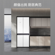 西门子（SIEMENS）481升混冷无霜双循环十字双开门四开门冰箱铂金净风除味清新 KM49EA20TI