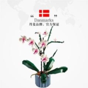 LEGO 乐高 兰花 蝴蝶兰永生花 10311