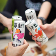 浮起百威 鸡尾酒 微醺气泡酒330ml鸭屎香青柚混合10罐装