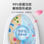 惠寻洁厕灵马桶清洁剂洁厕液厕所清洁厕宝500g 2瓶