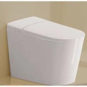 京东PLUS：R&T 瑞尔特 智能马桶一体机 A2轻智能款 305mm