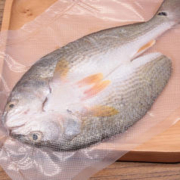 仙泉湖 三去斑点尾鲈鱼 500g*1条 净膛冷冻肉厚刺少 生海鲜食材