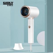 GIDLY 吉得力 负离子大功率吹风机